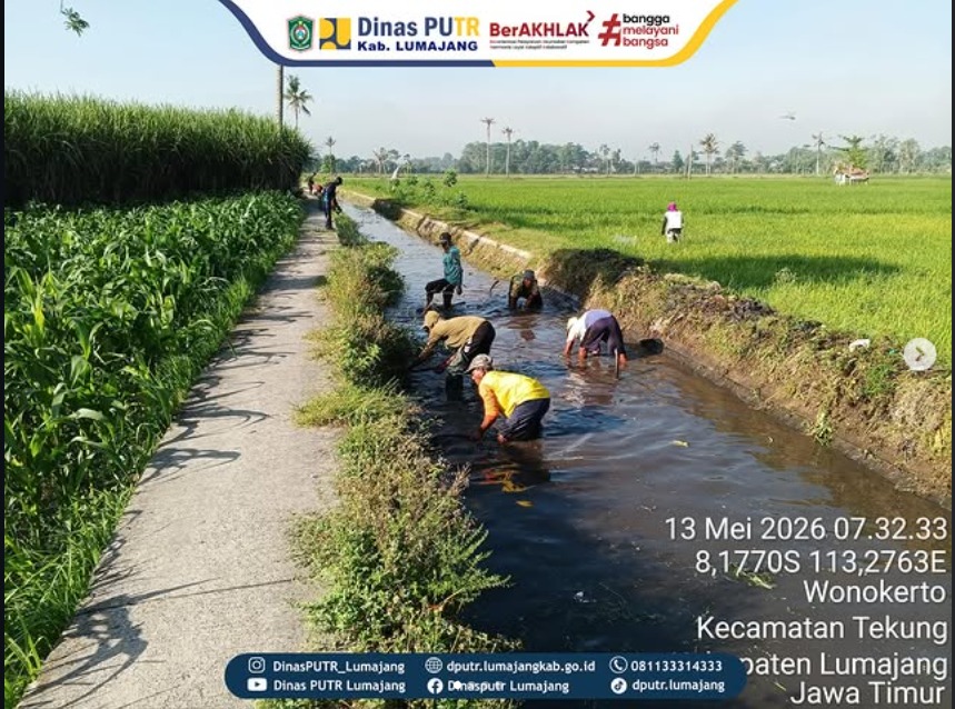  SINERGI LOGIS: KERJA BERSAMA BERSIHKAN SALURAN SEKUNDER D.I GUBUG DOMAS