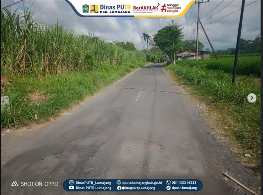 JAGA KUALITAS JALAN KABUPATEN, UPTD PJJ KORWIL PASIRIAN GENCARKAN “NGAPLING” DI RUAS MADUREJO - SEMEMU