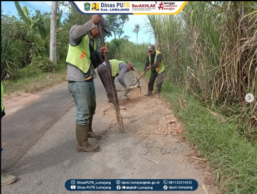 Sasar Ruas Yosowilangun - Bulaktal, Personel UPTD PJJ Korwil Yosowilangun Eksekusi Jalan Berlubang Lewat Aksi “Ngapling”